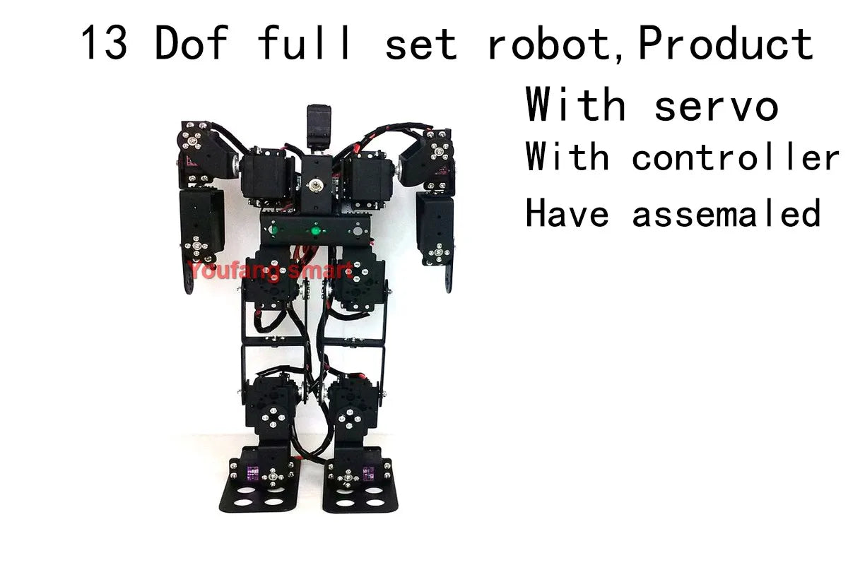 13 DOF Humanoid Robot