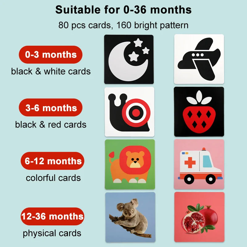 Montessori Black White Flash Cards