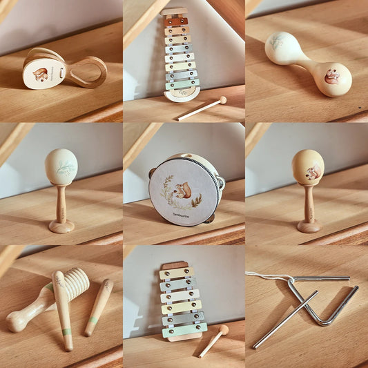 Musical Montessori Musical Instruments Toys