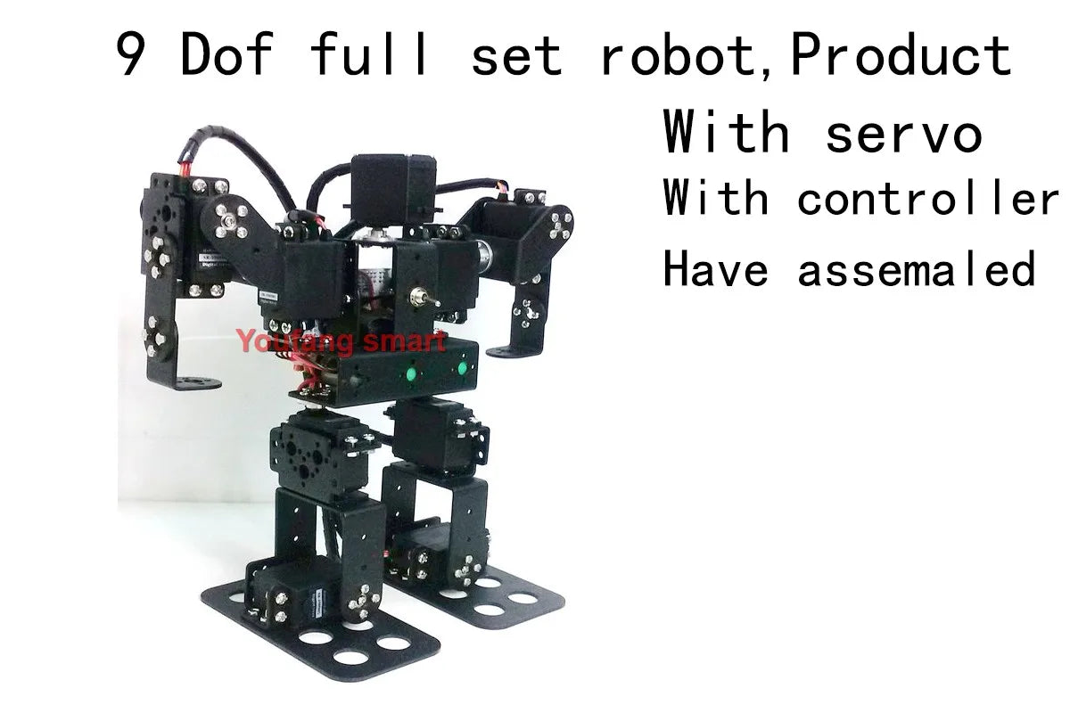 13 DOF Humanoid Robot