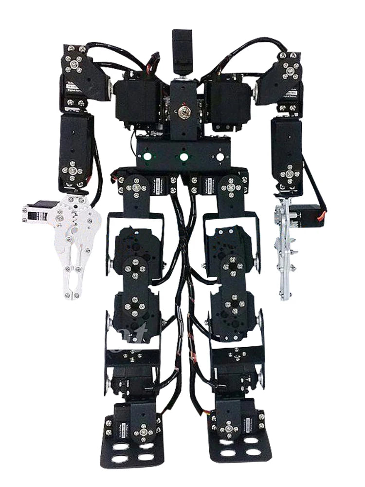 13 DOF Humanoid Robot