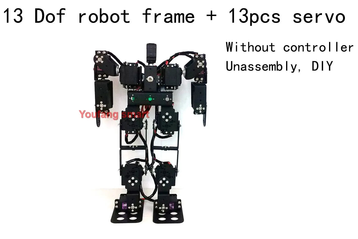 13 DOF Humanoid Robot