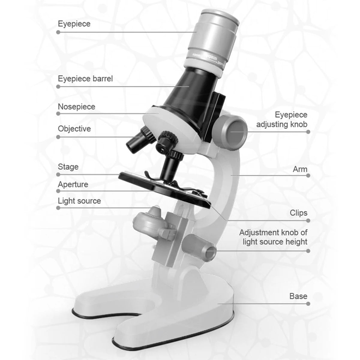 Optical Microscope Elementary School
