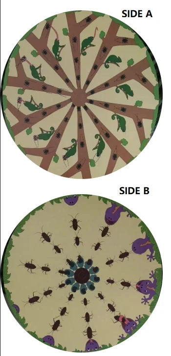 Phenakistoscope