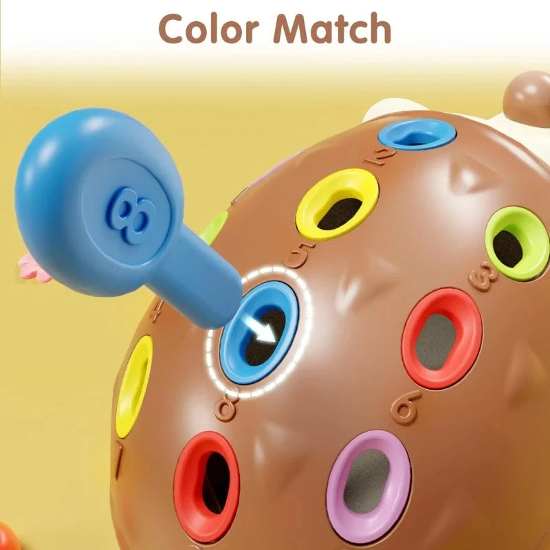 Sensory Hedgehog Toys