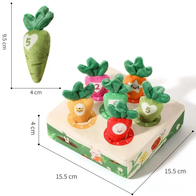 Planty