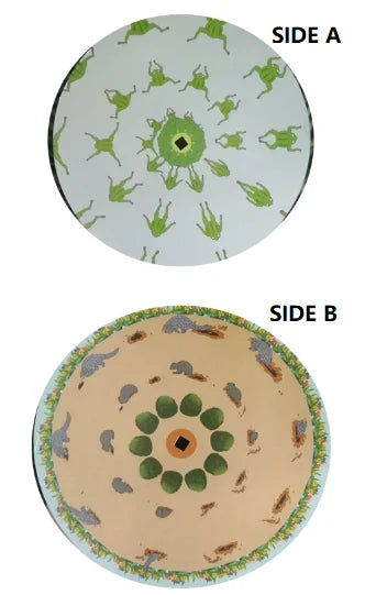 Phenakistoscope