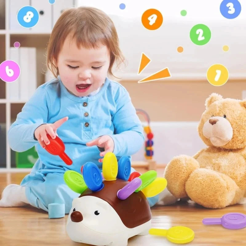 Sensory Hedgehog Toys