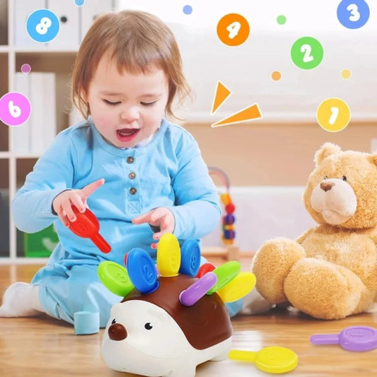 Sensory Hedgehog Toys