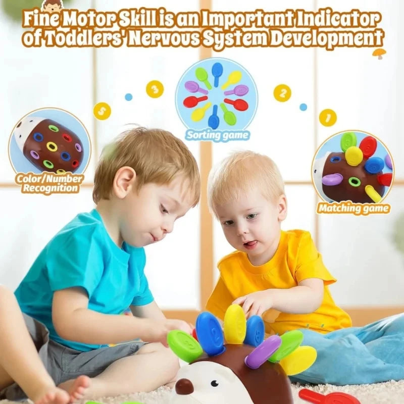 Sensory Hedgehog Toys