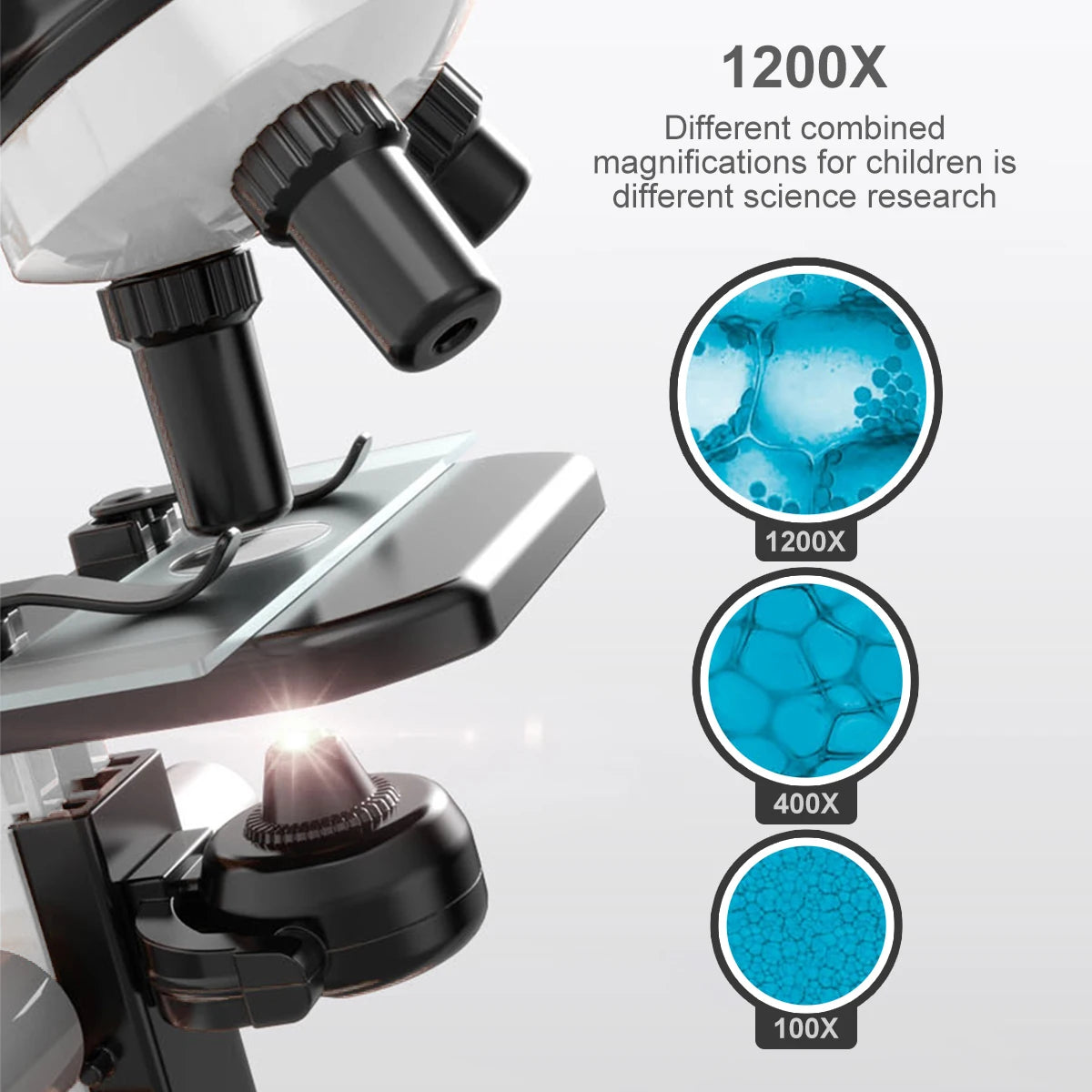Optical Microscope Elementary School