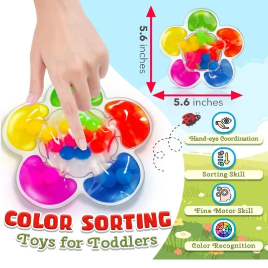 Montessori 5-Color Sorting Sensory Motor Skills