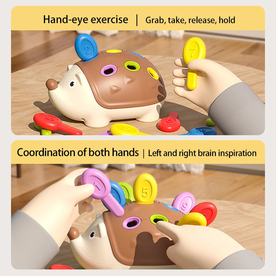 Montessori Hedgehog Toys Baby Concentration