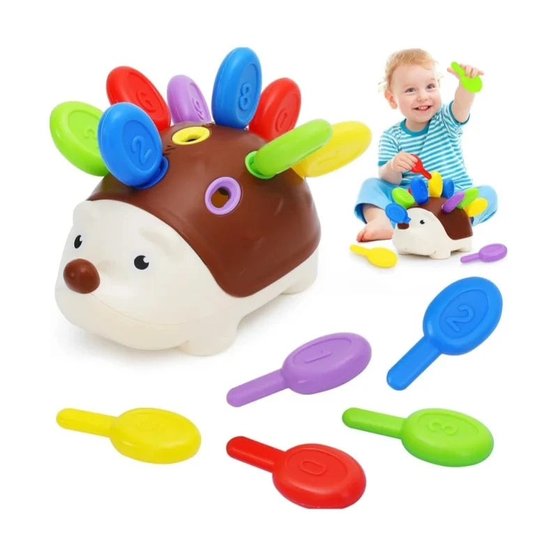 Sensory Hedgehog Toys