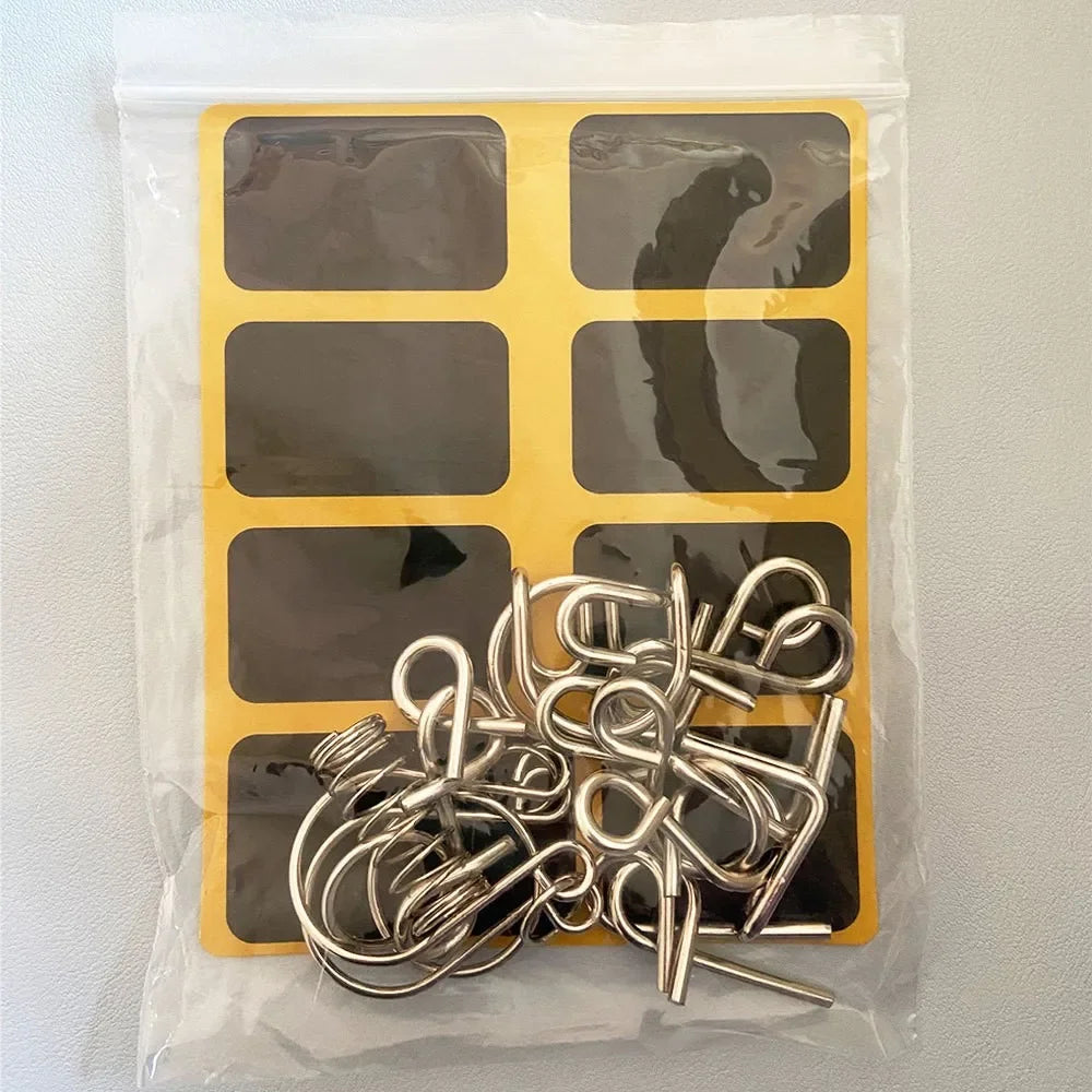 Metal Wire Puzzle