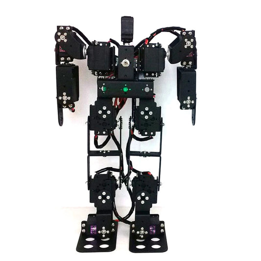 13 DOF Humanoid Robot