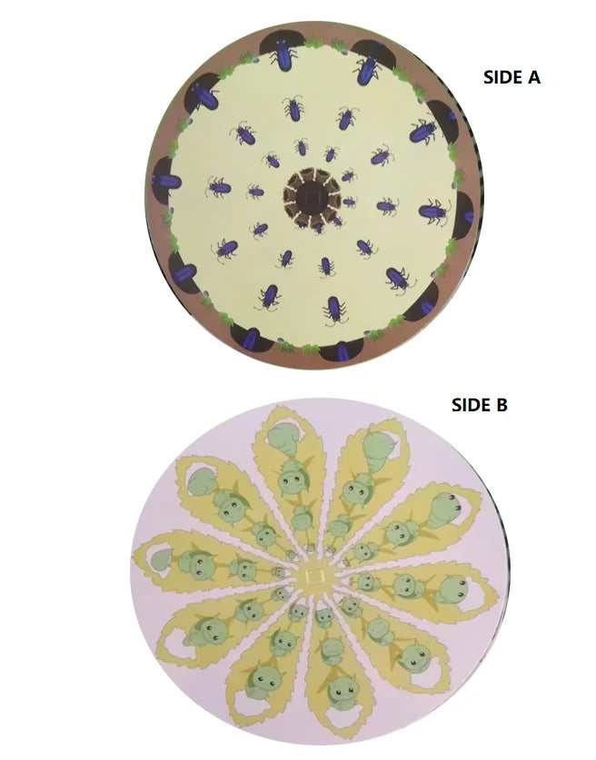 Phenakistoscope